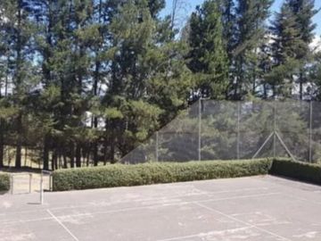 PIFO QUINTA DE VENTA