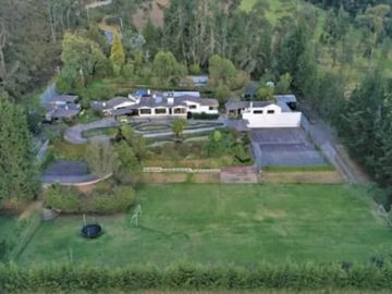 PIFO QUINTA DE VENTA