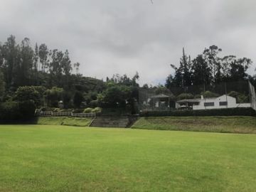 PIFO QUINTA DE VENTA