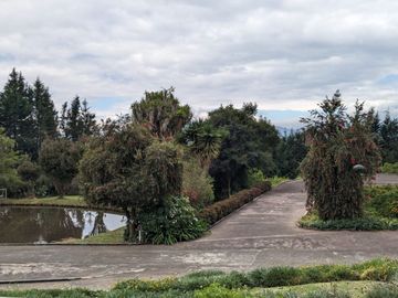 PIFO QUINTA DE VENTA
