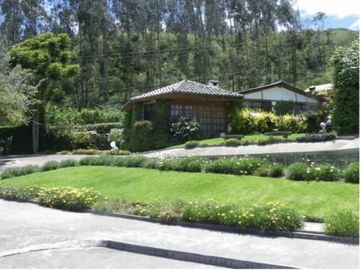 PIFO QUINTA DE VENTA