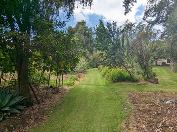 PIFO QUINTA DE VENTA