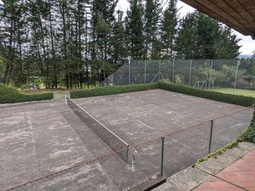 PIFO QUINTA DE VENTA