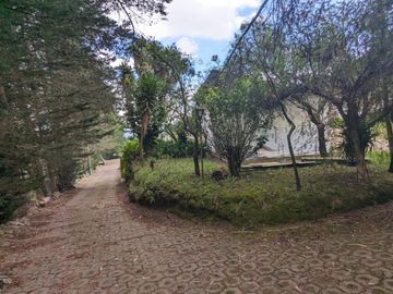PIFO QUINTA DE VENTA