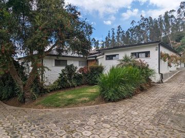PIFO QUINTA DE VENTA