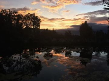 PIFO QUINTA DE VENTA