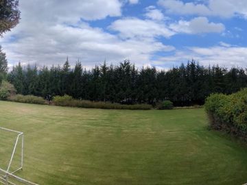 PIFO QUINTA DE VENTA