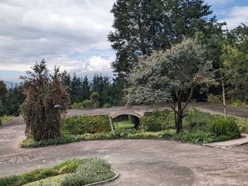 PIFO QUINTA DE VENTA