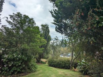 PIFO QUINTA DE VENTA