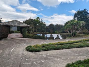 PIFO QUINTA DE VENTA