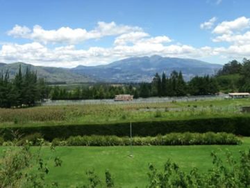 PIFO QUINTA DE VENTA