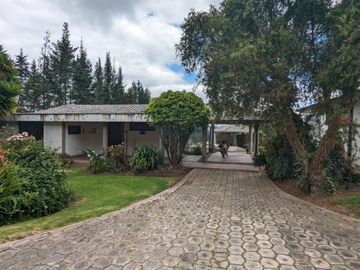 PIFO QUINTA DE VENTA