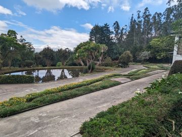 PIFO QUINTA DE VENTA
