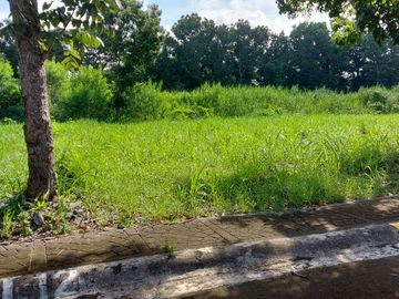 Prime Residential Lot at Southwoods Peak V for Sale Carmona