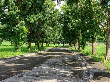Prime Residential Lot at Southwoods Peak V for Sale Carmona