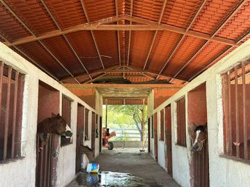 VENTA RANCHO GANADERO EN MONTEMORELOS EL FRAILE