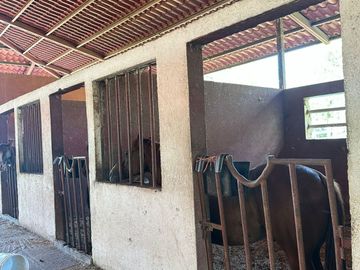 VENTA RANCHO GANADERO EN MONTEMORELOS EL FRAILE