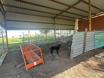 VENTA RANCHO GANADERO EN MONTEMORELOS EL FRAILE