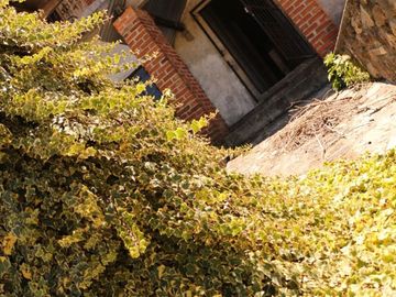 Vive la Tranquilidad: Casa Ideal para Tu Familia