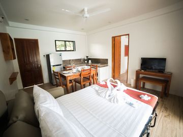20 Fully furnished Residences in Bolod, Panglao for Sale
