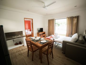 20 Fully furnished Residences in Bolod, Panglao for Sale
