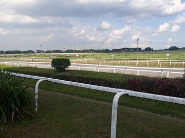 Saddle and Clubs Tanza Cavite Residential Lots for Sale (2022)