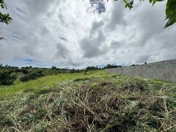 4,050 sqm Lot for Sale in Barangay Tolentino, Tagaytay City