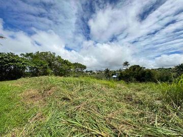 4,050 sqm Lot for Sale in Barangay Tolentino, Tagaytay City