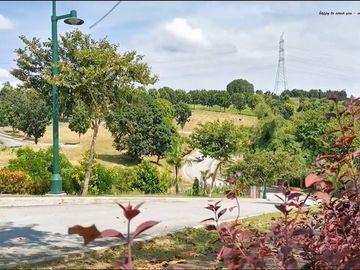 Pahara At Southwoods Lot For Sale By Megaworld. 16.5 KM From Alabang Muntinlupa City