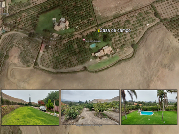 VENDO CASA DE CAMPO CON PLANTAS FRUTALES 5.5 HAS.