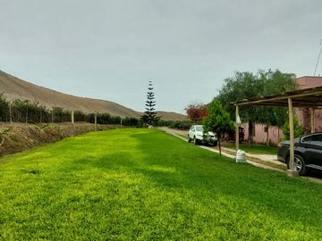 VENDO CASA DE CAMPO CON PLANTAS FRUTALES 5.5 HAS.