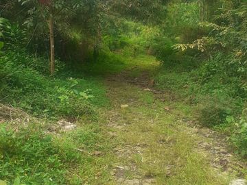8,5 Ha Tanah Kebun Murah & Ada Mata Air, Cisomang Barat, Cikalong Wetan, Bandung Barat