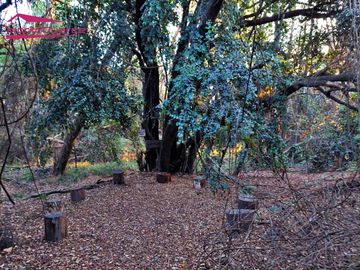 Se vende hermoso completo turístico en la región de Ñuble