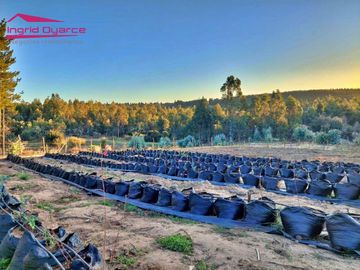 Se vende hermoso completo turístico en la región de Ñuble