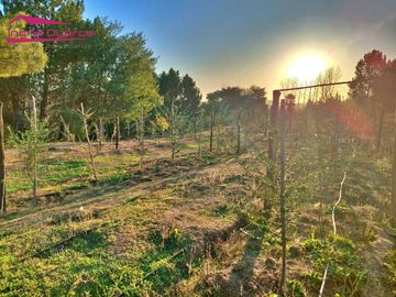 Se vende hermoso completo turístico en la región de Ñuble