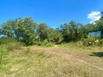 9 rai of wonderful land is for sale at Layan in Thalang, Phuket.