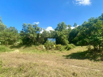 9 rai of wonderful land is for sale at Layan in Thalang, Phuket.