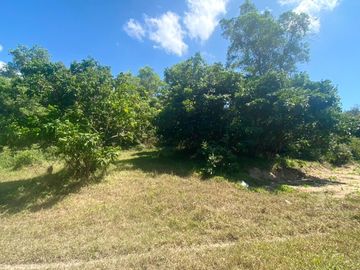 9 rai of wonderful land is for sale at Layan in Thalang, Phuket.