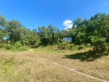 9 rai of wonderful land is for sale at Layan in Thalang, Phuket.