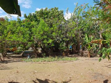 KAWIT CAVITE LOT FOR SALE NEAR CENTENNIAL ROAD TO CAVITEX AND MALL OF ASIA