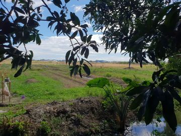KAWIT CAVITE LOT FOR SALE NEAR CENTENNIAL ROAD TO CAVITEX AND MALL OF ASIA