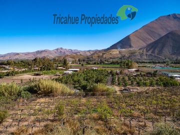 Terreno con cabañas amobladas para turistas y piscina, Valle del Elqui. $210 millones