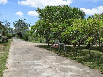 For sale. Land with a garden house, good atmosphere, San Pa Tong District, Chiang Mai.