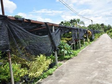 For sale. Land with a garden house, good atmosphere, San Pa Tong District, Chiang Mai.