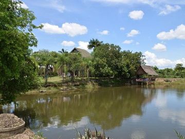 For sale. Land with a garden house, good atmosphere, San Pa Tong District, Chiang Mai.