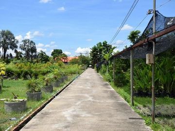 For sale. Land with a garden house, good atmosphere, San Pa Tong District, Chiang Mai.