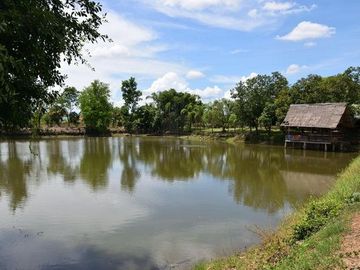 For sale. Land with a garden house, good atmosphere, San Pa Tong District, Chiang Mai.