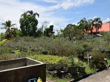 For sale. Land with a garden house, good atmosphere, San Pa Tong District, Chiang Mai.