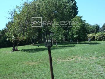 Vendemos amplio terreno con casa antigua bien conservada