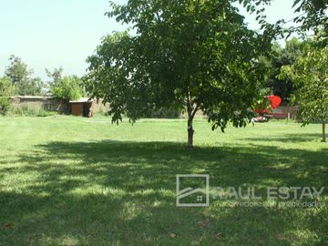 Vendemos amplio terreno con casa antigua bien conservada